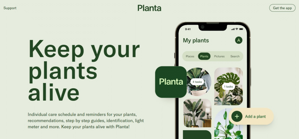 Planta
