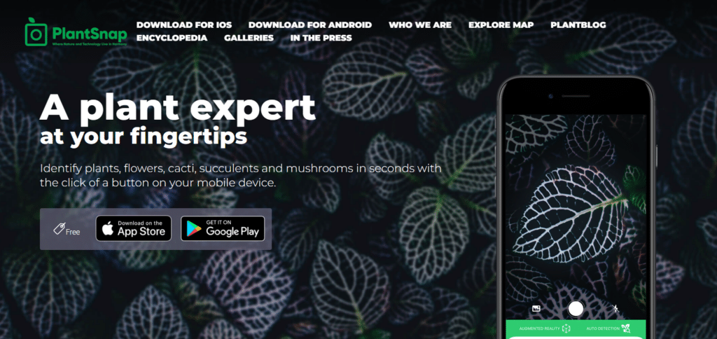 PlantSnap Android App To Identify Weeds And Grasses