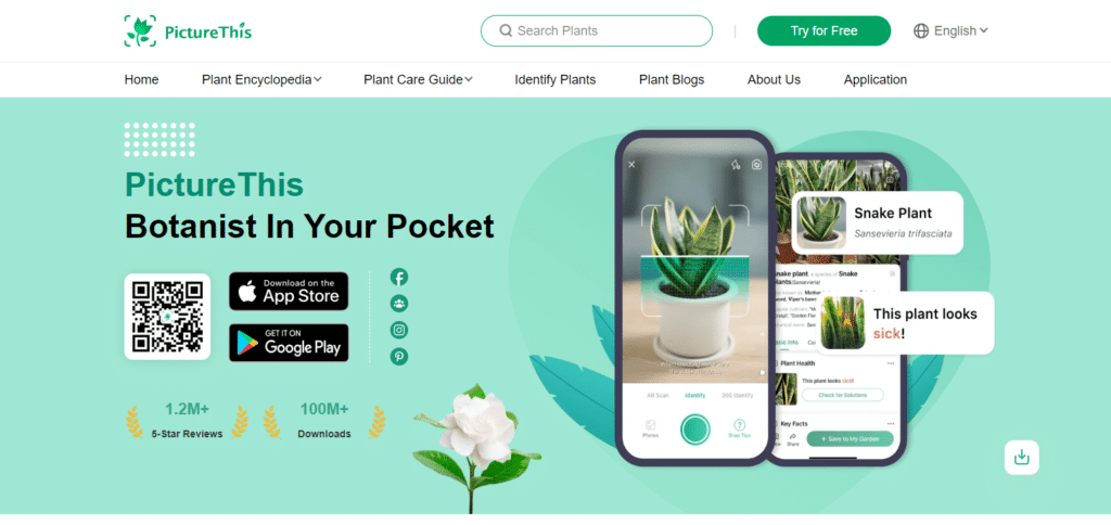 PictureThis Android App To Identify Weeds And Grasses