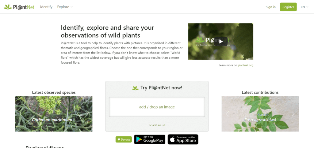 PlantNet Android App To Identify Weeds And Grasses